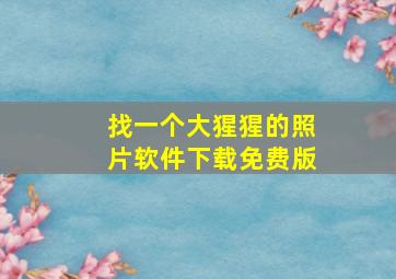 找一个大猩猩的照片软件下载免费版