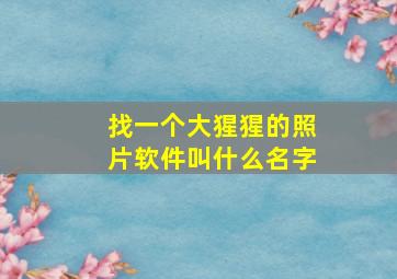 找一个大猩猩的照片软件叫什么名字