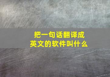 把一句话翻译成英文的软件叫什么