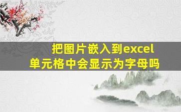 把图片嵌入到excel单元格中会显示为字母吗