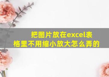 把图片放在excel表格里不用缩小放大怎么弄的