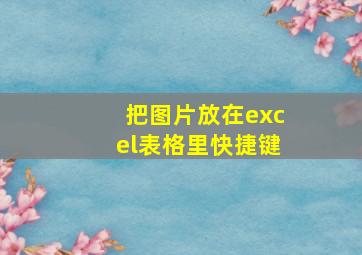 把图片放在excel表格里快捷键