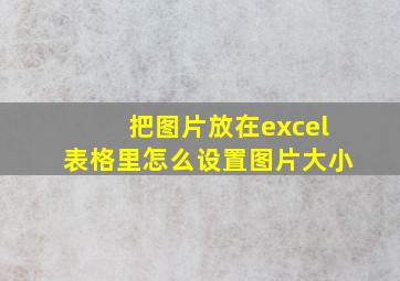 把图片放在excel表格里怎么设置图片大小