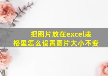 把图片放在excel表格里怎么设置图片大小不变