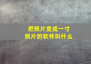 把照片变成一寸照片的软件叫什么