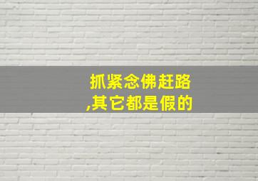 抓紧念佛赶路,其它都是假的