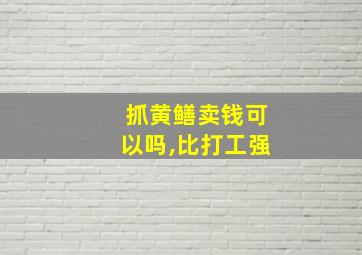 抓黄鳝卖钱可以吗,比打工强