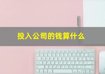 投入公司的钱算什么