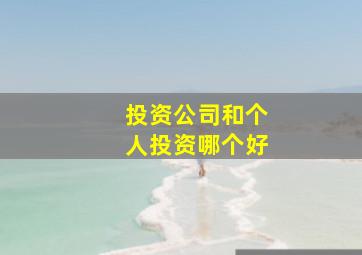 投资公司和个人投资哪个好