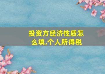 投资方经济性质怎么填,个人所得税