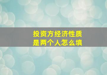 投资方经济性质是两个人怎么填