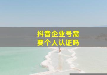 抖音企业号需要个人认证吗