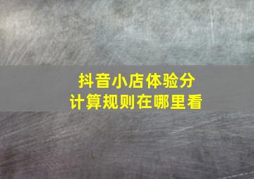 抖音小店体验分计算规则在哪里看