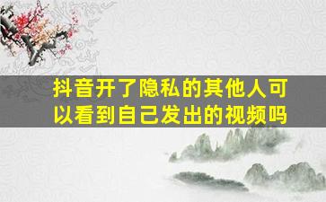 抖音开了隐私的其他人可以看到自己发出的视频吗