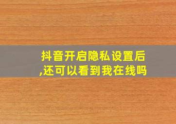 抖音开启隐私设置后,还可以看到我在线吗