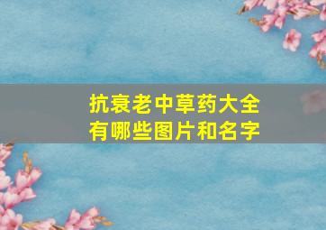 抗衰老中草药大全有哪些图片和名字