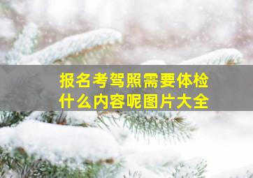 报名考驾照需要体检什么内容呢图片大全