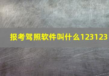 报考驾照软件叫什么123123