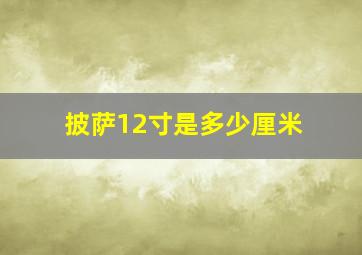 披萨12寸是多少厘米