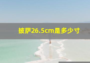 披萨26.5cm是多少寸