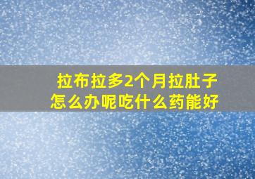 拉布拉多2个月拉肚子怎么办呢吃什么药能好