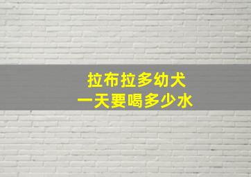 拉布拉多幼犬一天要喝多少水