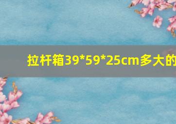 拉杆箱39*59*25cm多大的