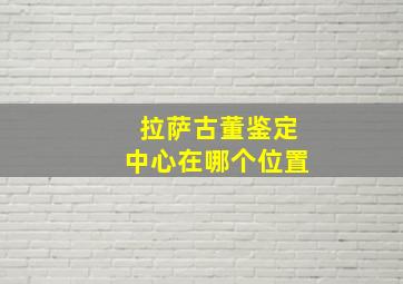 拉萨古董鉴定中心在哪个位置