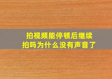 拍视频能停顿后继续拍吗为什么没有声音了