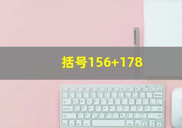 括号156+178