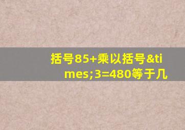 括号85+乘以括号×3=480等于几