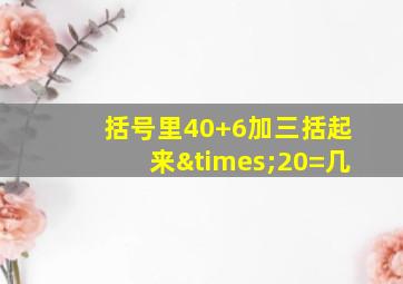 括号里40+6加三括起来×20=几