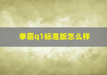 拳霸q1标准版怎么样