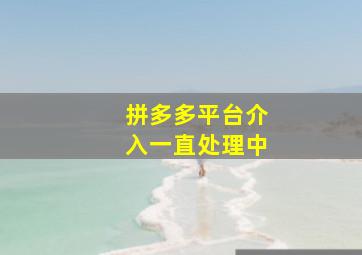 拼多多平台介入一直处理中