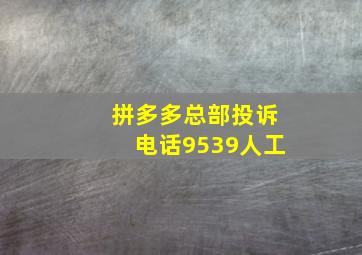 拼多多总部投诉电话9539人工