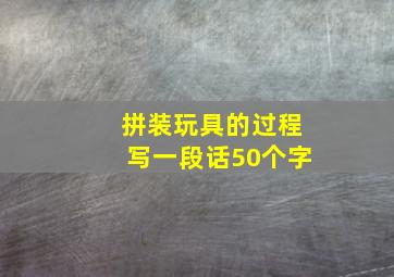 拼装玩具的过程写一段话50个字