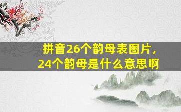 拼音26个韵母表图片,24个韵母是什么意思啊