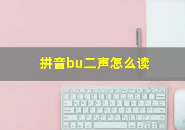 拼音bu二声怎么读