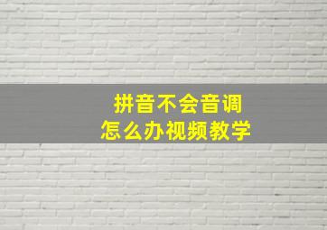 拼音不会音调怎么办视频教学