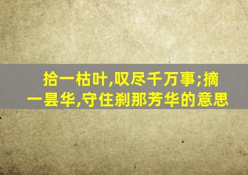 拾一枯叶,叹尽千万事;摘一昙华,守住刹那芳华的意思