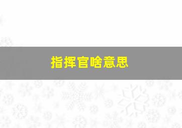 指挥官啥意思