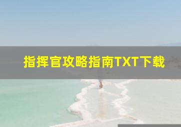 指挥官攻略指南TXT下载