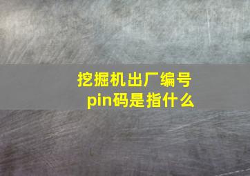 挖掘机出厂编号pin码是指什么