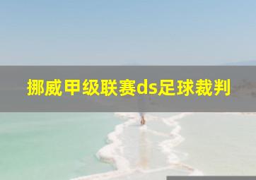 挪威甲级联赛ds足球裁判