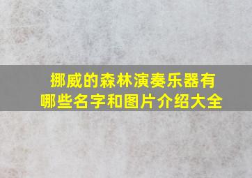 挪威的森林演奏乐器有哪些名字和图片介绍大全