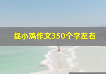 捉小鸡作文350个字左右