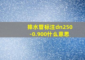 排水管标注dn250-0.900什么意思