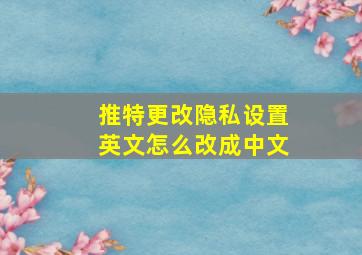 推特更改隐私设置英文怎么改成中文