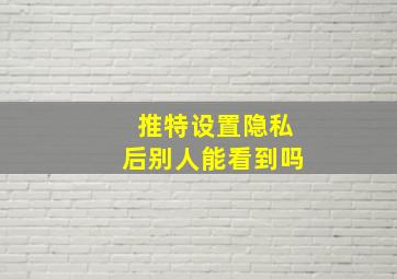 推特设置隐私后别人能看到吗