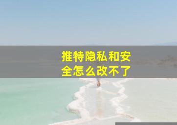 推特隐私和安全怎么改不了